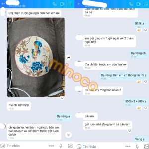 Gối Điện Ngải Cứu Chườm Nóng Thảo Dược Đông Y 5 goi suoi ngai cuu dien 1