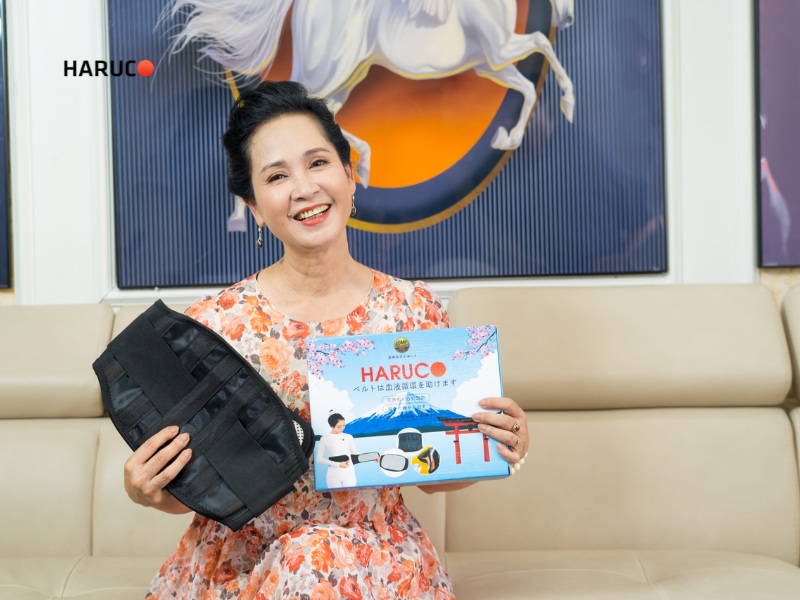 Đai Lưng Đá Nóng Haruco HR-06-1 Giảm Đau Lưng Giữ Ấm 9 dai nep lung 1