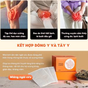 Máy Massage Đầu Gối Muselove Đai Đeo Ngải Cứu (1 Cái) 7 may massage dau goi 4