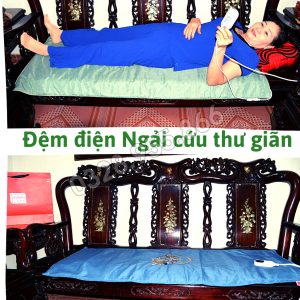 Thảm Điện Ngải Cứu Đông Y Thảo Dược Loại Dày 9 tham ngai cuu 9